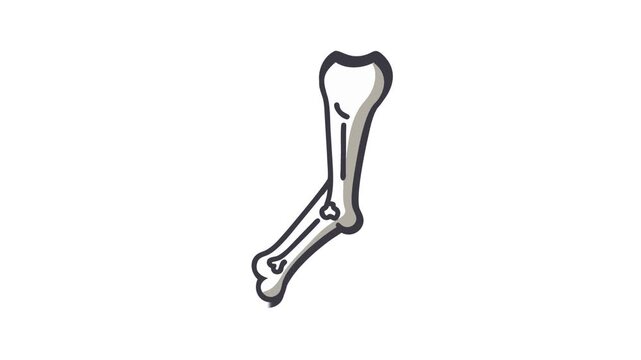 Stylized bone structure illustration on a white background 