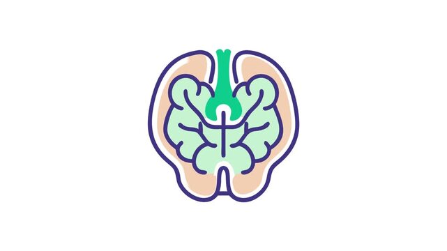 Stylized walnut illustration depicting health and wellness concept design