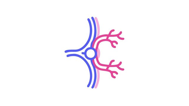 Abstract artery and vein flow vector icon illustration