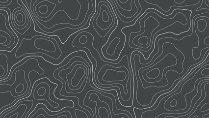 Contour topographic map background. Topography and geography map grid abstract backdrop. Editable stroke. Linear graphics. Topographic relief. Subtle black vector background. Vintage outdoors style
