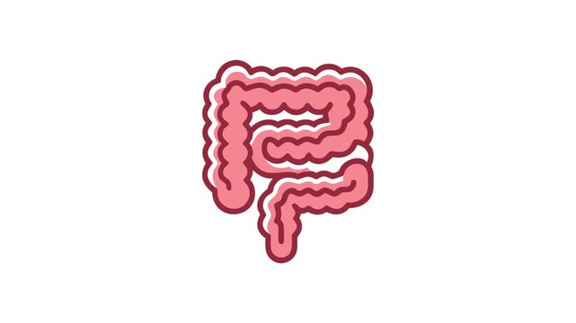 Anatomy Icon