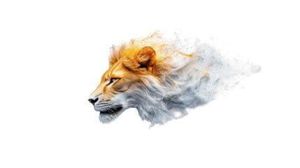 Leo Zodiac Sign Illustrated on Transparent Background