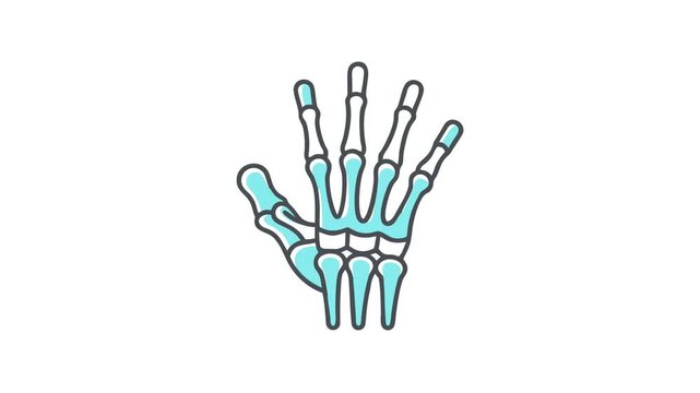 Human hand bones vector graphic illustration on white background