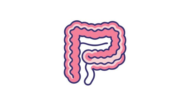 Illustration of human colon with abstract flat vector style