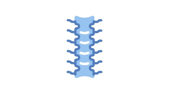 Illustration of human spine in blue color on white