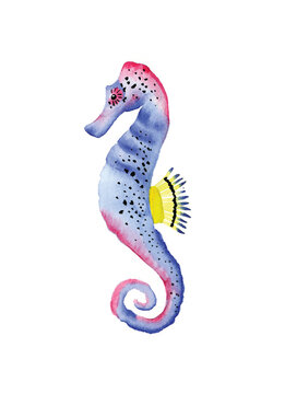 Seahorse