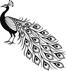 Fototapeta premium Stylized-peacock-art-stylized-black-and-white.