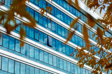 The modern building's smooth glass façade reflects the sky and clouds. Autumn leaves add warm...