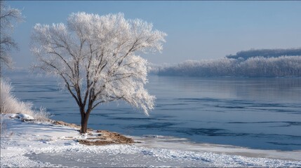 Mississippi River Winter: Snow Covered Tree in Minnesota Landscape
