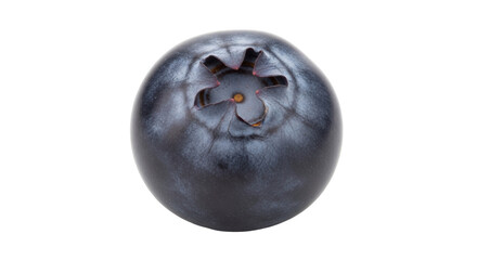 Isolated Blueberry single fresh juicy healthy fruit close-up still life full detail nobody