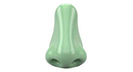 Isolated human nose model, green anatomical medical organ, 3D rendered body part on light studio