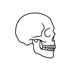 Spooky skull line art for Halloween designs, creative projects, and edgy brand visuals, perfect for adding a touch of the macabre to your aesthetic