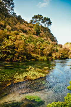 Fotograf&iacute;a de Putaruru Blue Spring en Nueva Zelanda.