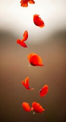 Falling Red Petals - A Gentle Descent of Floral Beauty.