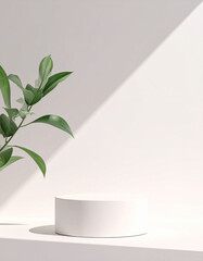 Podium, stand for advertising and product presentation background with plant and shadow on the wall