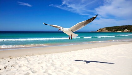 A lone seagull soars gracefully over a sandy beach, the turquoise sea glistening under a bright blue sky on a sunny day