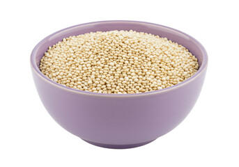Isolated bowl of uncooked quinoa on neutral ground, representing healthy organic plant based food