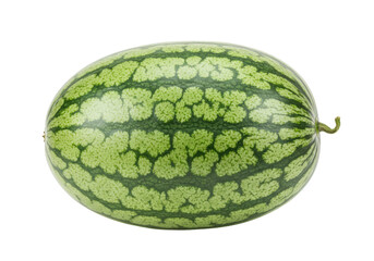 Isolated view of a whole ripe watermelon, a summer fruit, healthy snack, or raw dessert