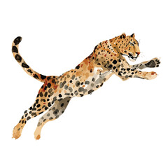 Obraz premium Agile Jumping Leopard Vector Illustration.