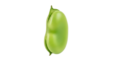 Isolated Broad Bean Pod, Fava Bean Green, Fabaceae, Garden Vegetable, Healthy Vegetarian Food