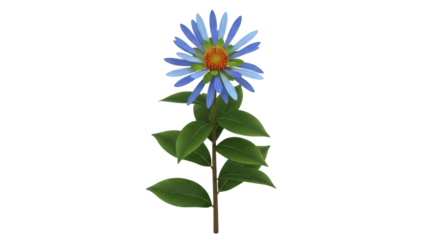 Isolated bright blue daisy flower with green leaves on a stem, natural floral element