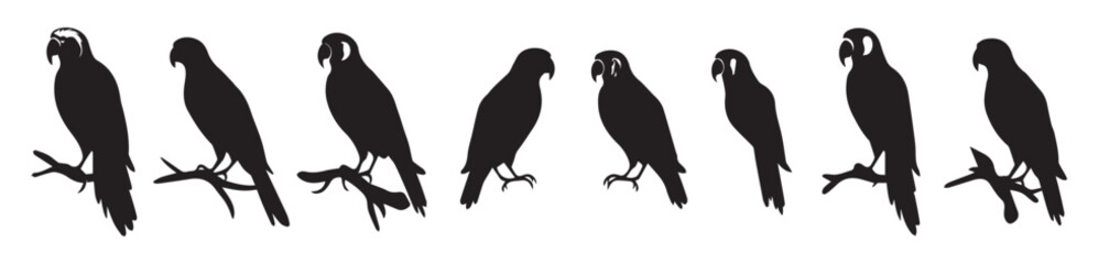  set of silhouette parrots design 