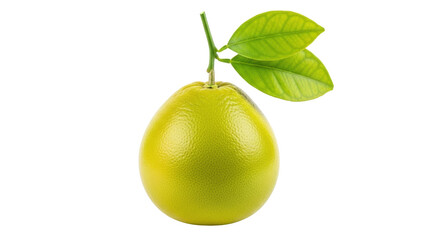 Isolated ripe yellow grapefruit, Citrus paradisi, with stem and leaves, delicious dessert