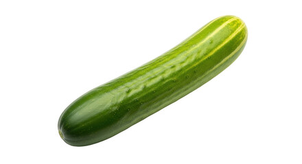 Isolated garden cucumber with fresh green skin, a healthy food ingredient, delicious vegetable