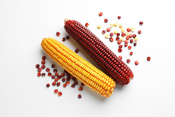Red and yellow corn cobs with kernels on white background, flat lay