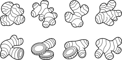Detailed black and white ginger root illustration set, hand-drawn botanical sketch of fresh organic spice rhizome for cooking and herbal design