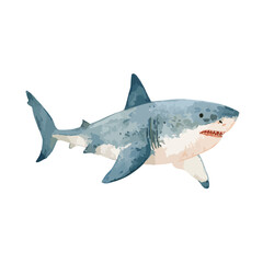 Fototapeta premium Powerful Great White Shark Swimming Vector Art.