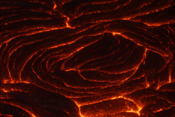 Macro black and white close-up of feather texture and delicate details
