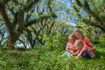 Family under green canopy in ancient forest. Woodland walk past giant trembesi trees with huge trunks at Jawatan Benculuk Banyuwangi. Traveling with kids on summer vacation in Jawa island, Indonesia