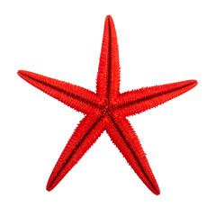 Vivid five-pointed starfish, radiant red, contrasted against a stark black background