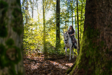 Fototapeta premium Woman Riding White Horse Through Sunlit Forest Path in Autumn Nature Setting