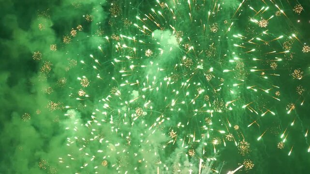 The dazzling fireworks bloomed in the night sky