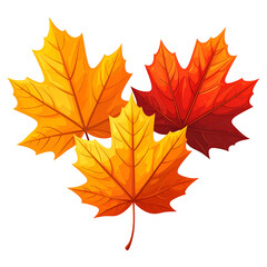 Obraz premium Three vividly colored maple leaves, depicting autumn foliage, are arranged on a black background