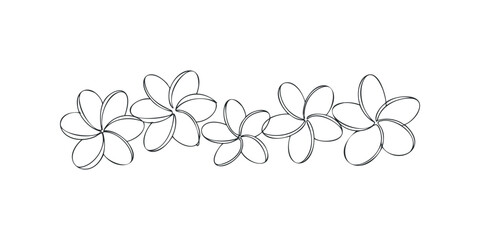Obraz premium Simple line drawing of tropical plumeria flowers border