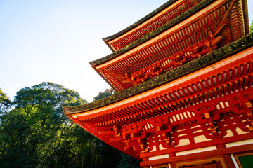 Fototapeta premium 【奈良県】奈良市 霊山寺 (2025/10/07 撮影)