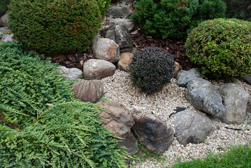 Alpine slide, rock garden or rockery, which consists of stones and plants growing at high altitudes. Decorative landscape composition that imitates mountain terrain. Element of landscape design