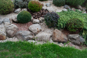 Alpine slide, rock garden or rockery, which consists of stones and plants growing at high altitudes. Decorative landscape composition that imitates mountain terrain. Element of landscape design