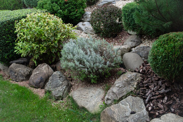 Alpine slide, rock garden or rockery, which consists of stones and plants growing at high altitudes. Decorative landscape composition that imitates mountain terrain. Element of landscape design