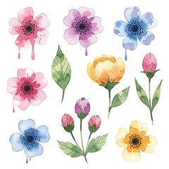 Watercolor Floral Collection - Delicate Blossoms and Buds for Artistic Designs.