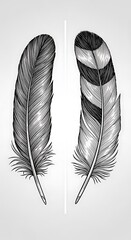 Detailed Feather Illustrations - Intricate Designs and Textures.