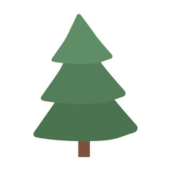 Fototapeta premium green christmas tree