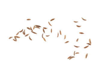 Flying cumin seeds scattered in air creating aromatic spice texture and natural seasoning pattern for culinary design, herbal food concept, and organic cooking ingredient
