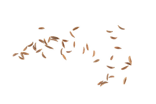 Flying cumin seeds scattered in air creating aromatic spice texture and natural seasoning pattern for culinary design, herbal food concept, and organic cooking ingredient