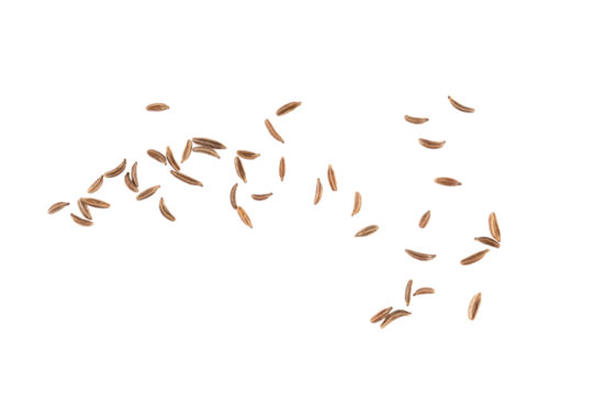 Flying cumin seeds scattered in air creating aromatic spice texture and natural seasoning pattern for culinary design, herbal food concept, and organic cooking ingredient