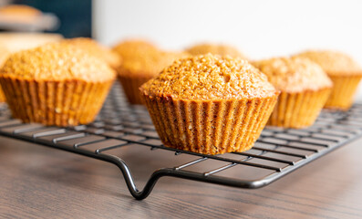Homemade Healthy Pumpkin Muffins Fall Treat