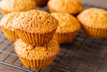 Homemade Healthy Pumpkin Muffins Fall Treat